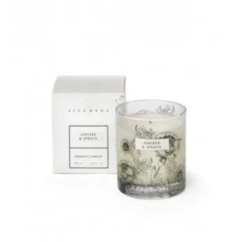 Illumens Nutmeg & Cinnamon Candle in Glass