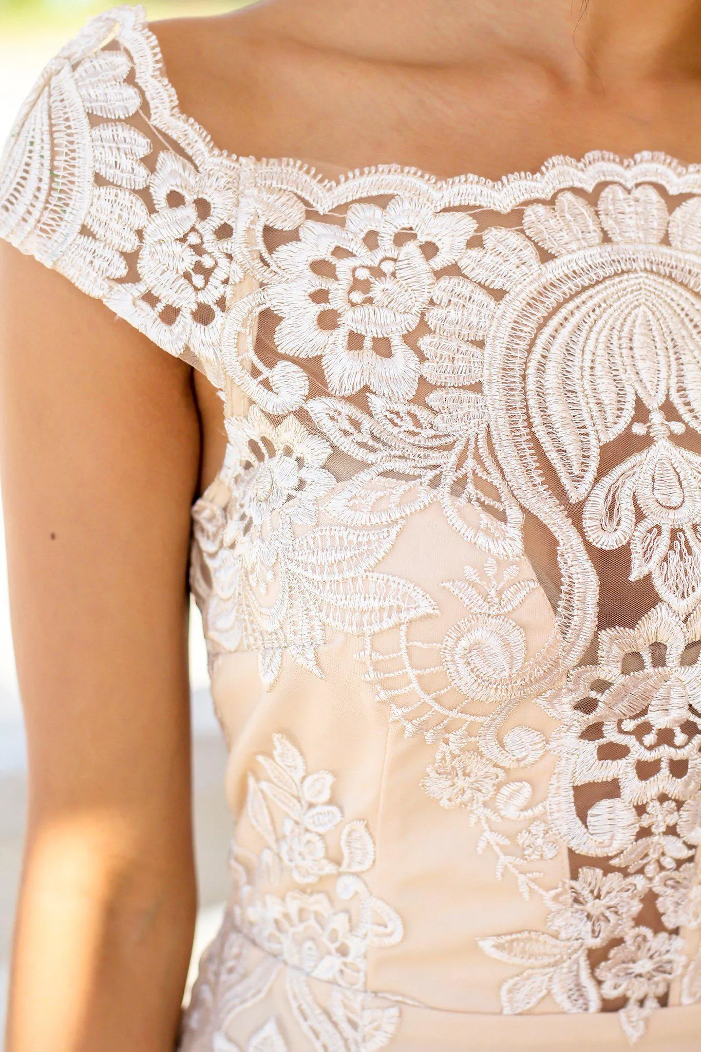 Ivory and Nude Embroidered Short Dress