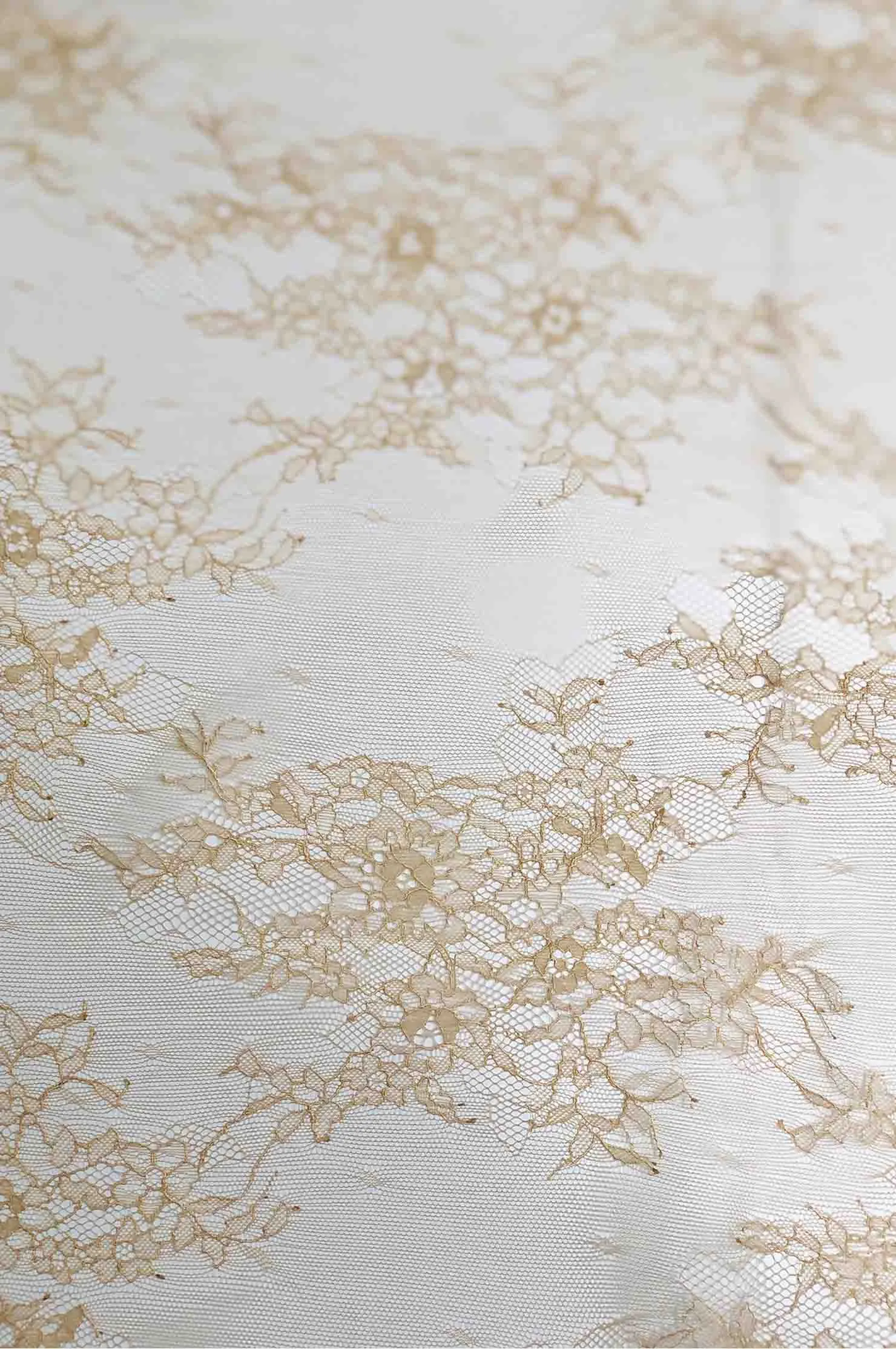 Melted Gold French Plain Lace FLP-006 Fabric